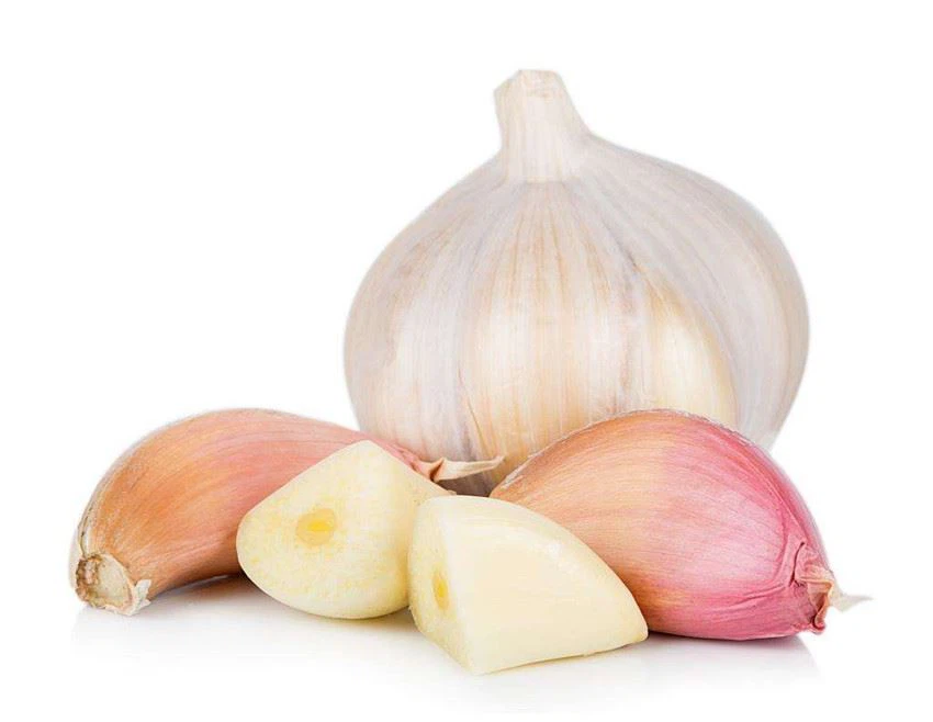 e3330c491fc2ed308528da5681843f83_