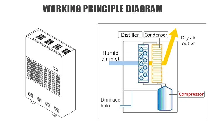 product-750-431 product-750-431